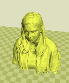 Scan of person